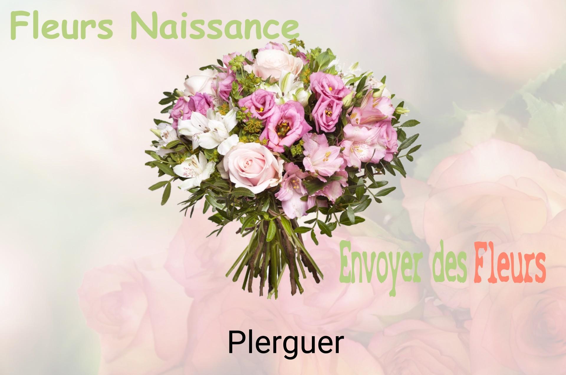 Bouquet de fleurs de naissance livré à Plerguer